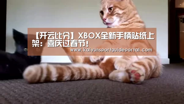 开云比分