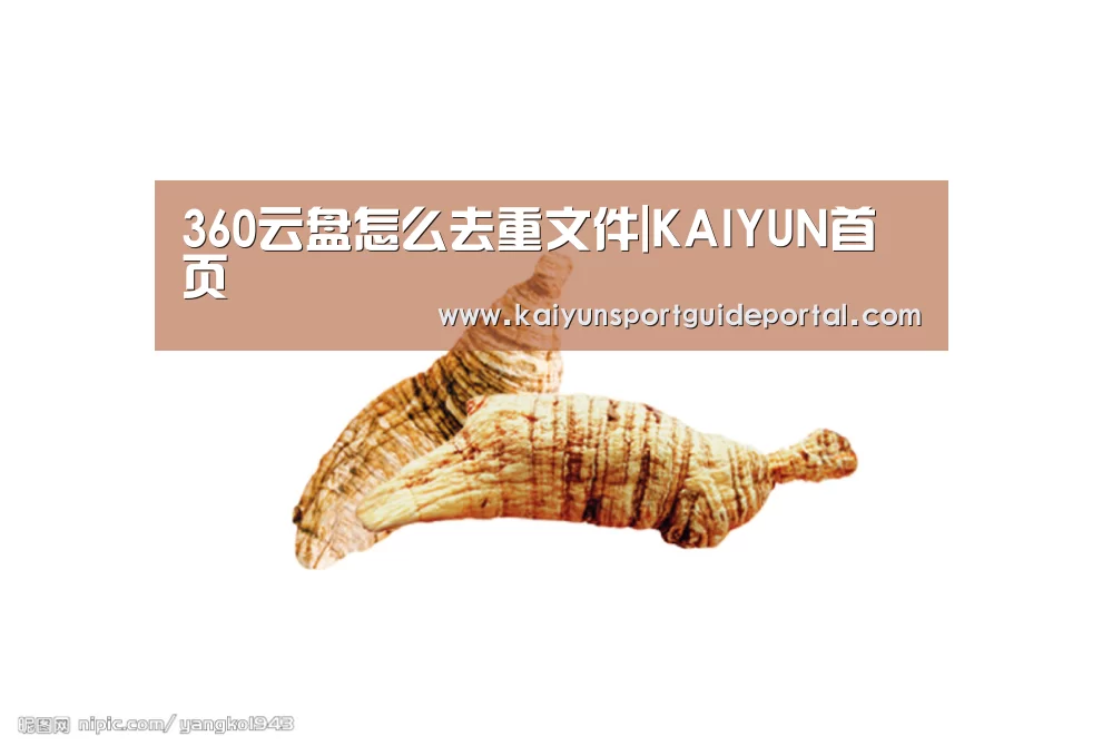 开云官网导航