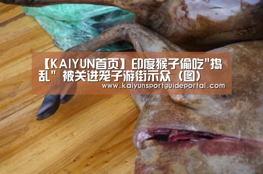 KAIYUN首页