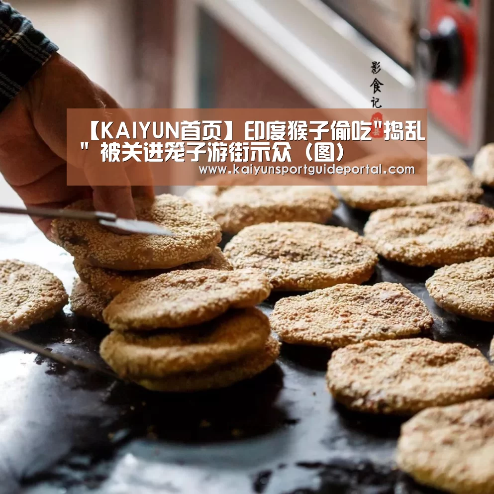 开云官网导航