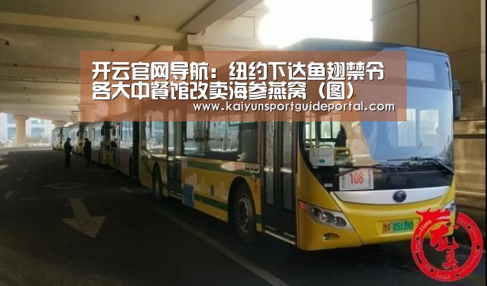 开云官网导航:纽约下达鱼翅禁令 各大中餐馆改卖海参燕窝(图)(图1) KAIYUN首页