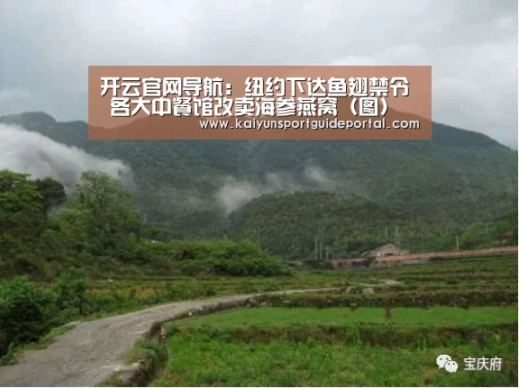 开云官网导航:纽约下达鱼翅禁令 各大中餐馆改卖海参燕窝(图)(图3) 开云官网导航
