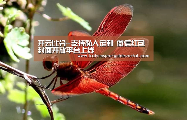开云比分-支持私人定制 微信红包封面开放平台上线(图3) 开云比分