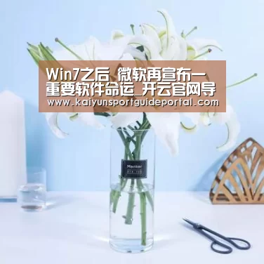 开云官网导航