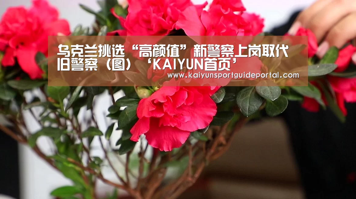 乌克兰挑选“高颜值”新警察上岗取代旧警察(图)‘KAIYUN首页’(图4) 开云体育赛事